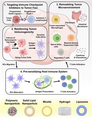Advancing immune checkpoint blockade in colorectal cancer therapy with nanotechnology